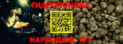 ГАЛЛЮЦИНОГЕННЫЕ ГРИБЫ Новокубанск