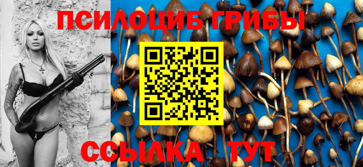 Лиски  Галлюциногенные грибы Psilocybe  Вход с VPN 